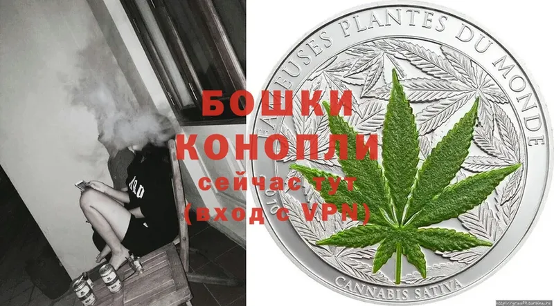 Конопля THC 21%  продажа наркотиков  Сыктывкар 